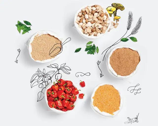 Snack üretim projeleri için gerekli temel faktörler ve alt yapı.