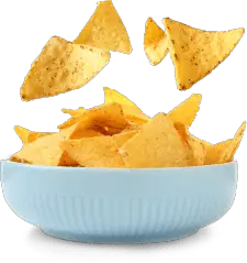 LÍNEA DE PRODUCCIÓN DE TORTILLA FRITAS