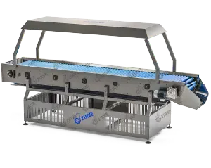 سير الفحص البصري للبطاطا | خط انتاج شيبس البطاطس الطبيعي PC 500 | 