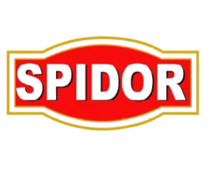 spider